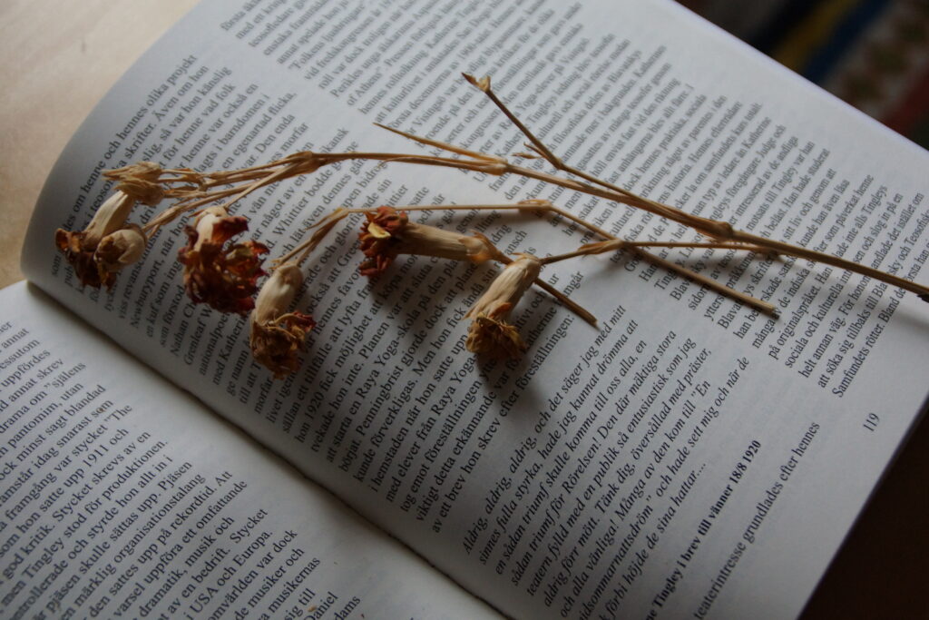 halv bok med torkad blomma